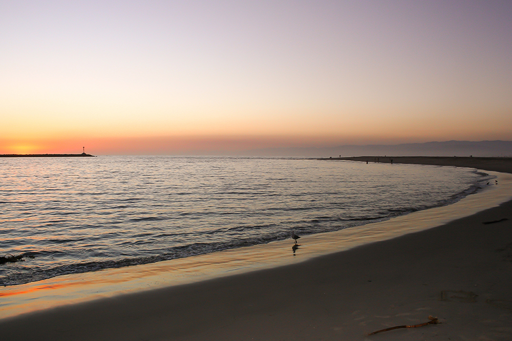 calm-ocean-vanguard-psychiatry